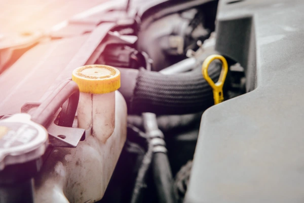 Bambino Car Wash's other services